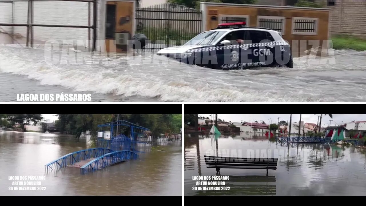 LAGOA DOS PÁSSAROS 30/12/22 ARTUR NOGUEIRA