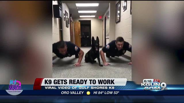 K9 does push-ups with Officers