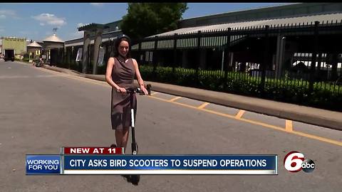 City asks Bird scooters to suspend operations in Indy for 30 days while they work out ordinances