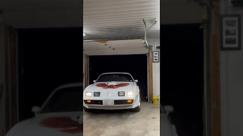 Winter storage # snow bird #trans am # firebird