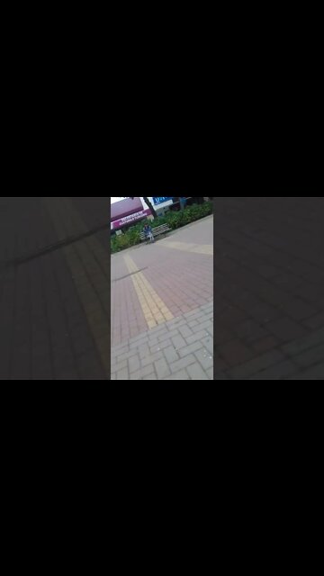 alimentando os pombos praca 7 #shorts