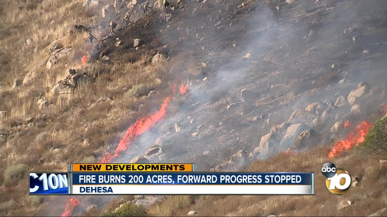 Fire near Dehesa scorches 200 acres