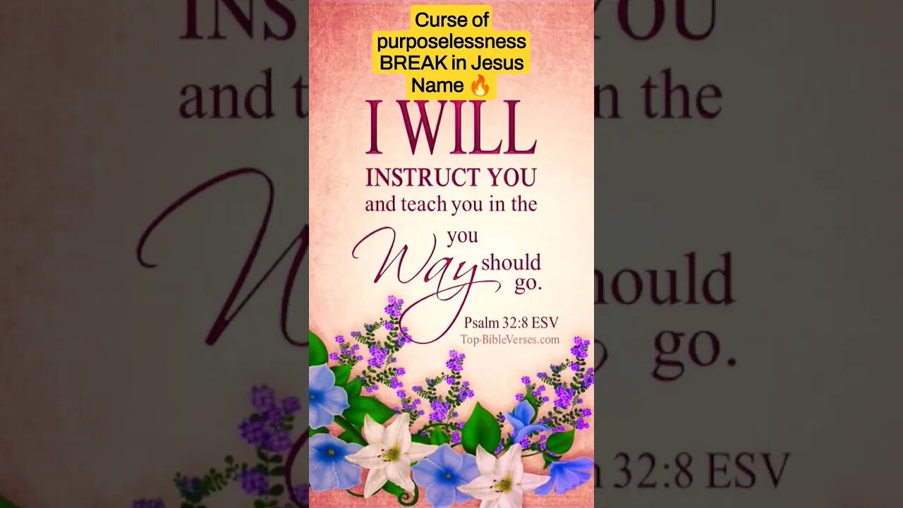 Breaking off curses of "wondering" 🤷‍♂️ #promisedland #holyspirit #teamjesus