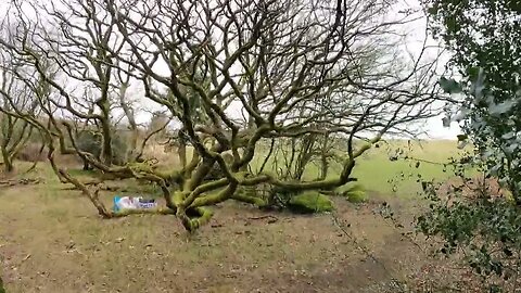 virtual tour before leaving my pitch 26th March 2023