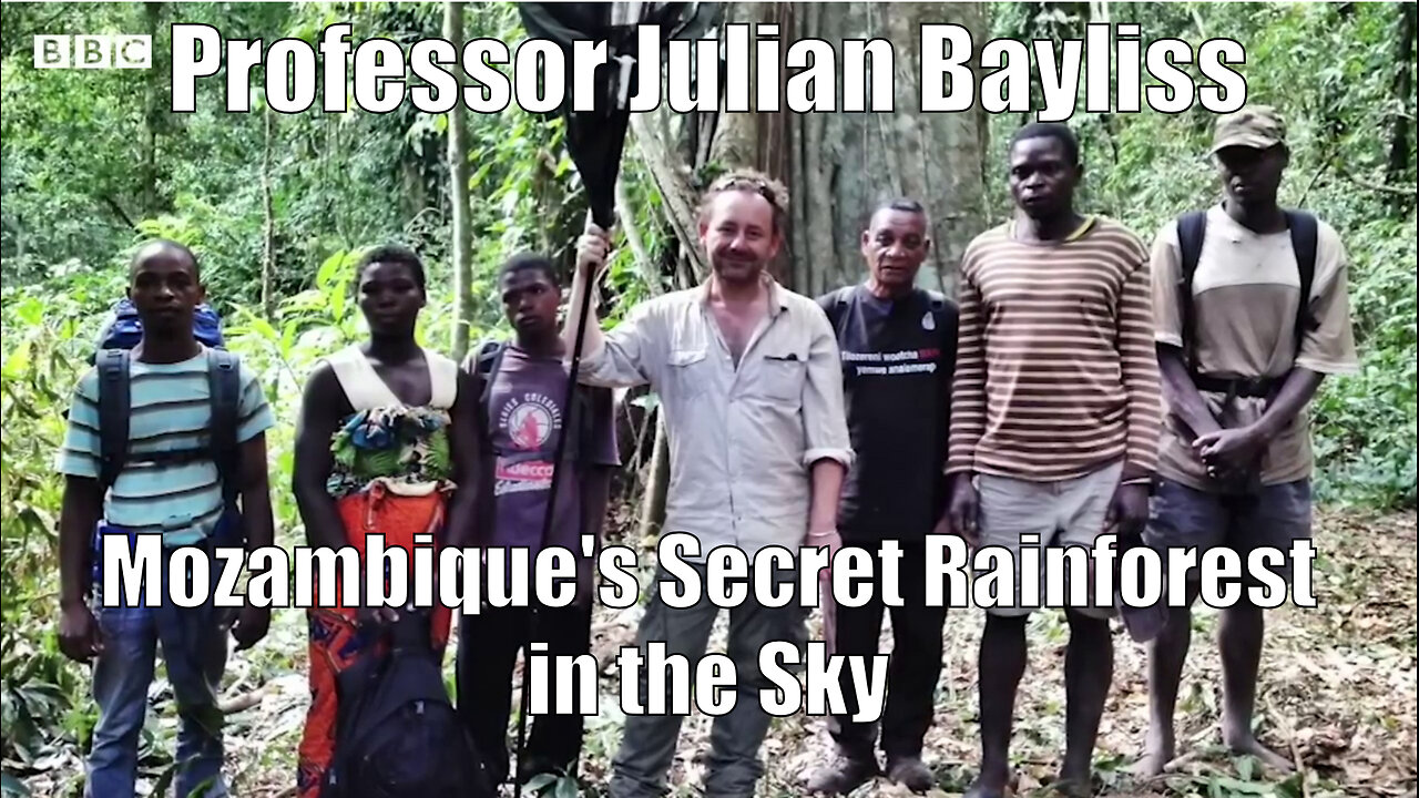 Professor Julian Bayliss - Mozambique's Secret Rainforest in the Sky - Mount Mabu