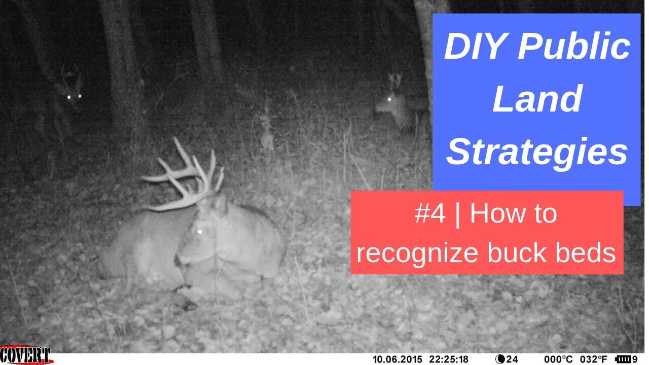 DIY Public Land deer hunting Strategies #4: How to recognize buck beds