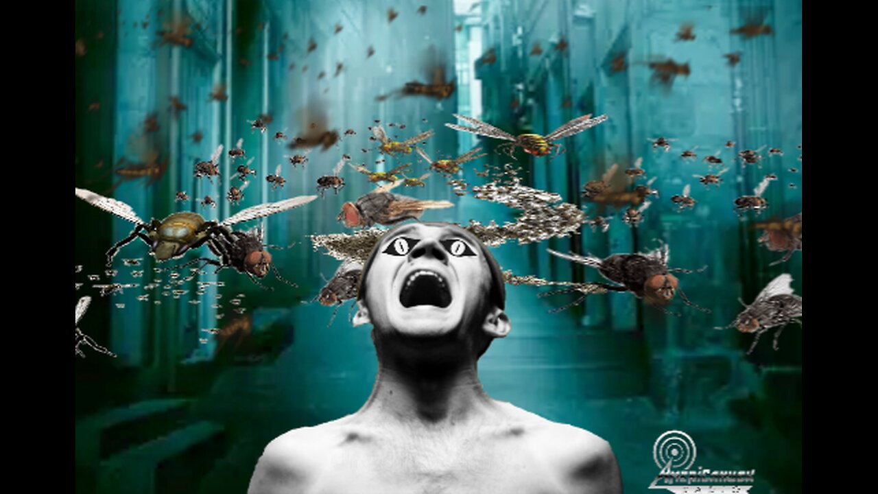 6th Day - God Made The Insects , Power Of The Creeping Thing