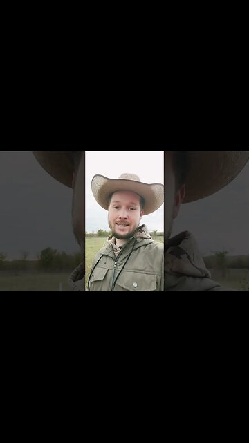 #education #politics #news #breakingnews #culture #trending