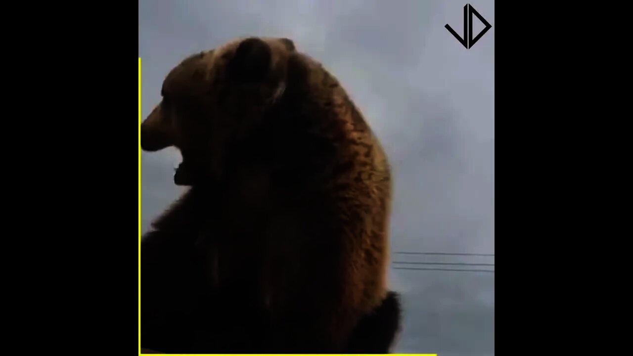 Why was I nervous the ENTIRE video