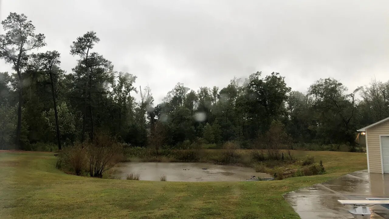 Live: Tropical Storm #Ian approaching NC (silent w/ chat)