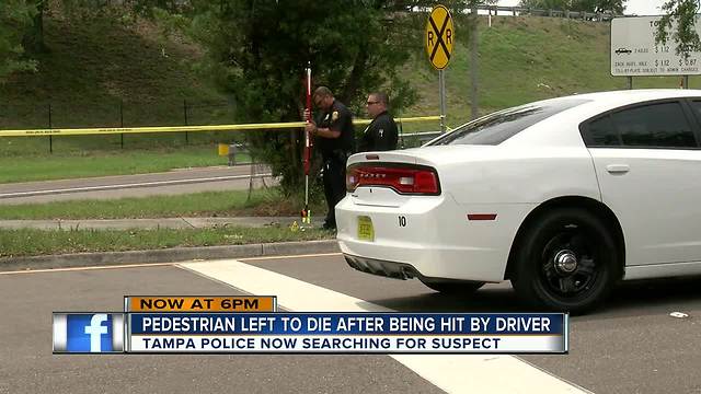 Pedestrian hit and killed in South Tampa