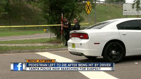 Pedestrian hit and killed in South Tampa