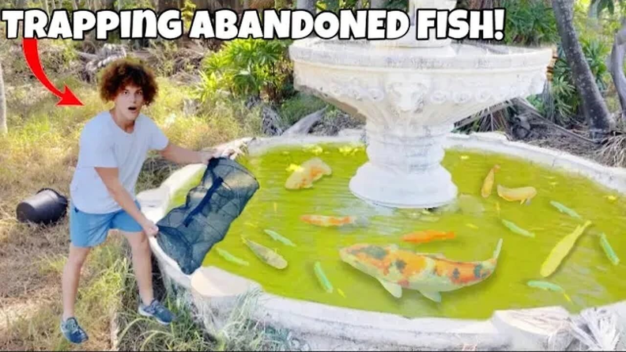 Trapping AQUARIUM FISH From ABANDONED Fountain POND!