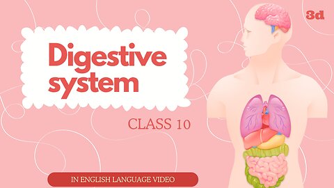 Digestive system in english | smart class edge