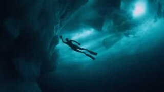 Une femme nage sous les icebergs du Groenland