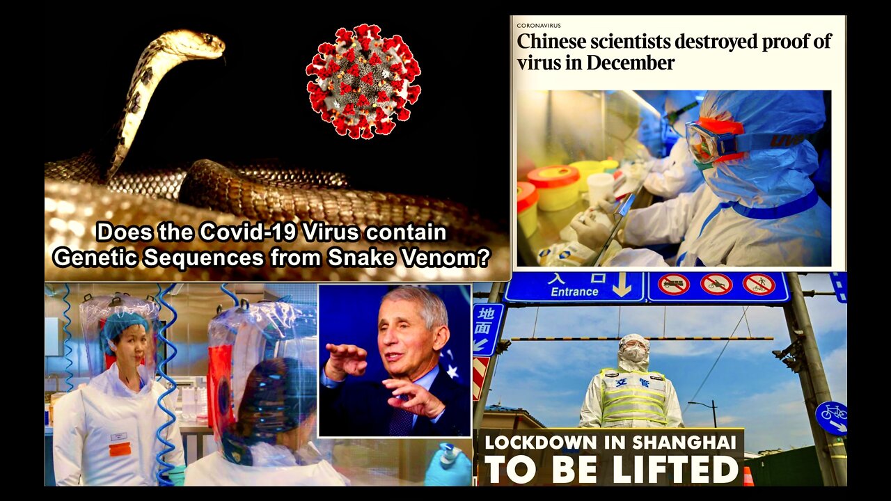 Shanghai Lockdown China Virus Covid Snake Venom Connection USA Fauci Wuhan Bio Lab Destroys Evidence