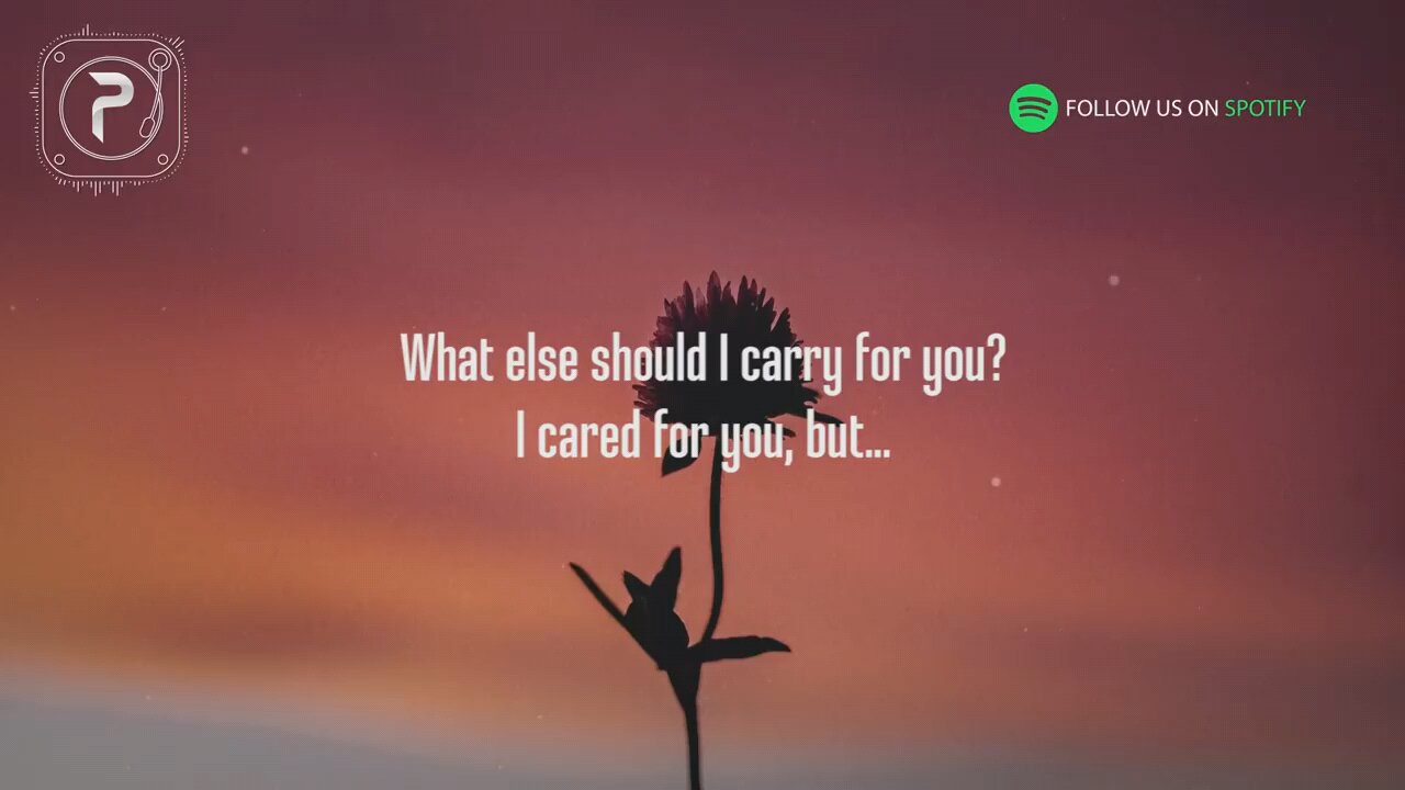 Let you Down Song by NF Lyrics video