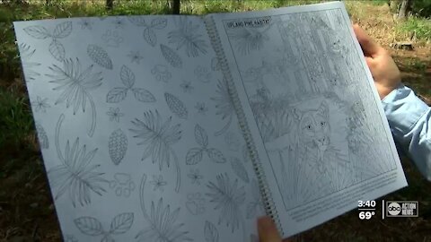 Artist and educator creates coloring book to promote, protect Florida wildlife