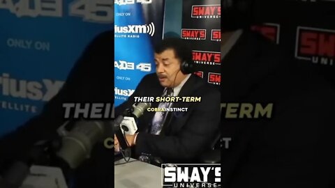 Neil Tyson on human brain