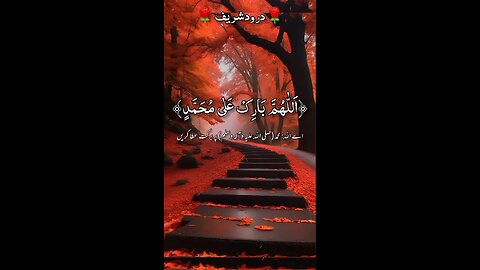 drood shareef