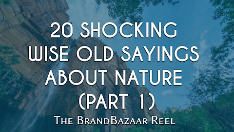 20 SHOCKING WISE OLD SAYINGS ABOUT NATURE (PART 1)
