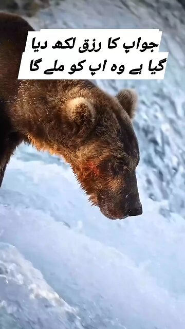 اللہ تعالیٰ کا وعدہ