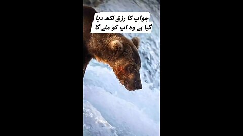 اللہ تعالیٰ کا وعدہ