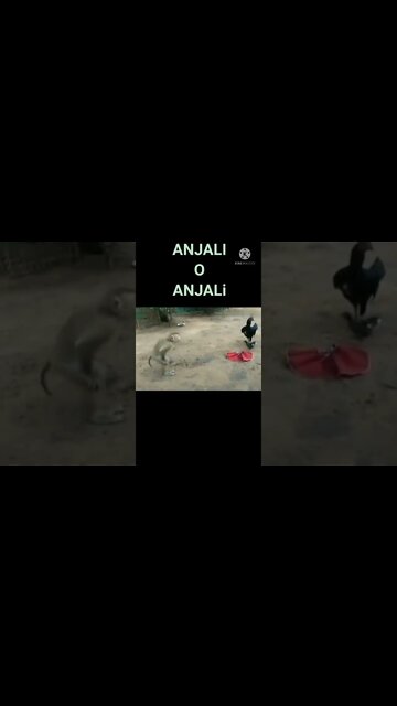 अंजली ओ अंजली♥♥ छोड़ कर मत जा | very 😂😂funny video || #short #globalAmazing #shortsbreak #amazing