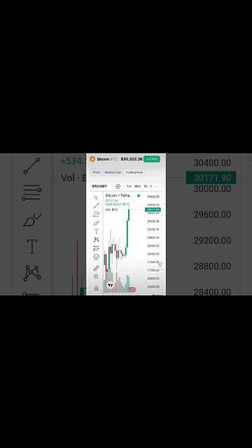 $30,000.00 Dollar Bitcoin 11/04/2023