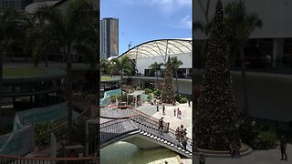 🎄 Merry Christmas - Australia || PACIFIC FAIR SHOPPING CENTRE