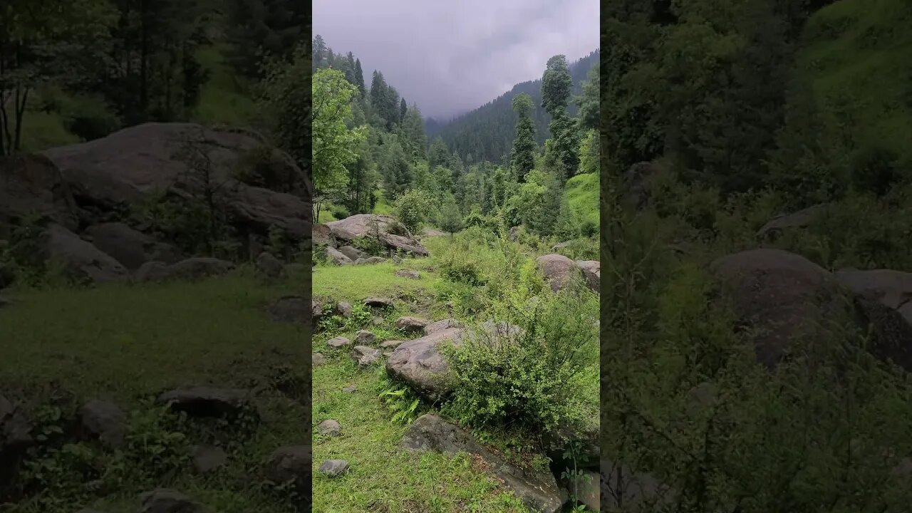 Beauty of Swat #viral #trending