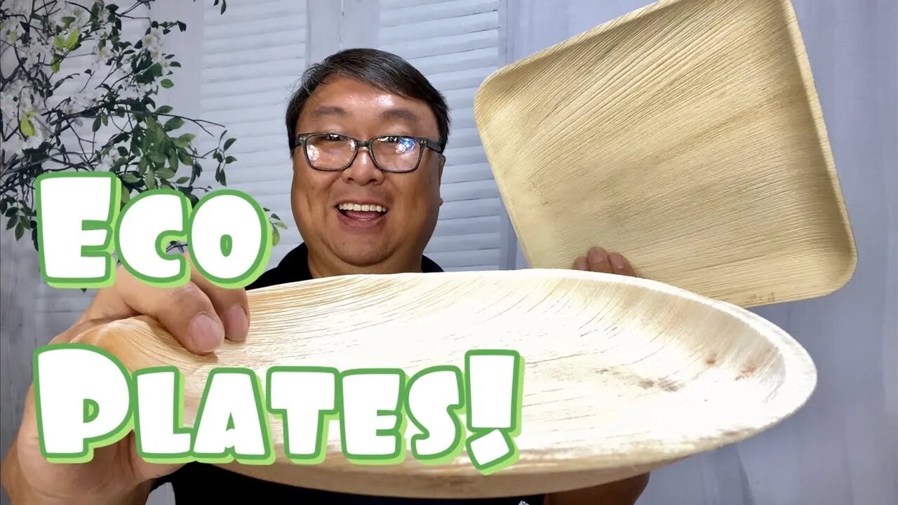 Best Eco Friendly Disposable Plates Are Made From Leaves