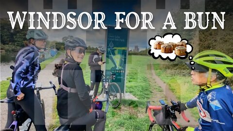 All the way to Windsor, just for a Bun