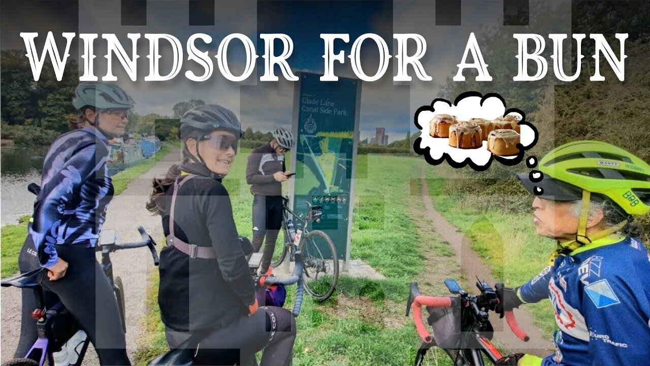 All the way to Windsor, just for a Bun