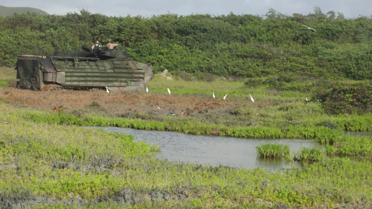 Mud Ops: sustaining wildlife, training the force