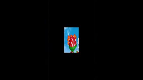 Super Mario Sunhine shine 3