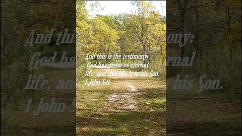 Daily Bible Verse short for today