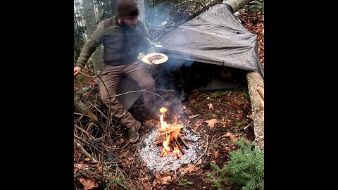 Cooking steaks over a campfire in a bushcraft shelter