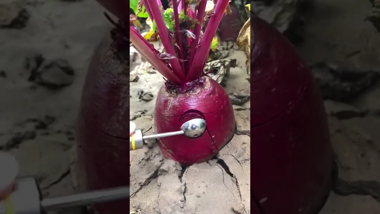 Beetroot ASMR