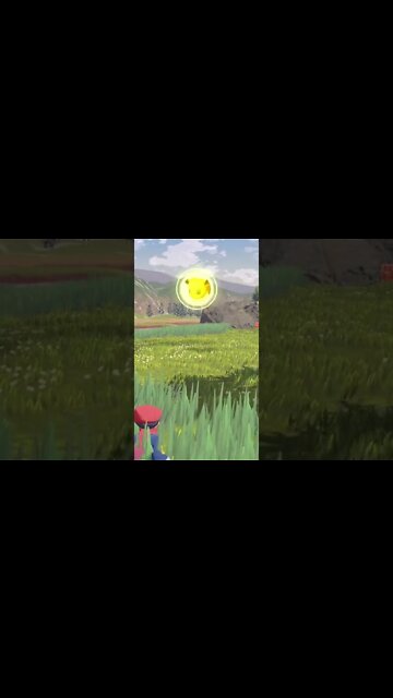 Catching Eevee - Pokémon Legends: Arceus