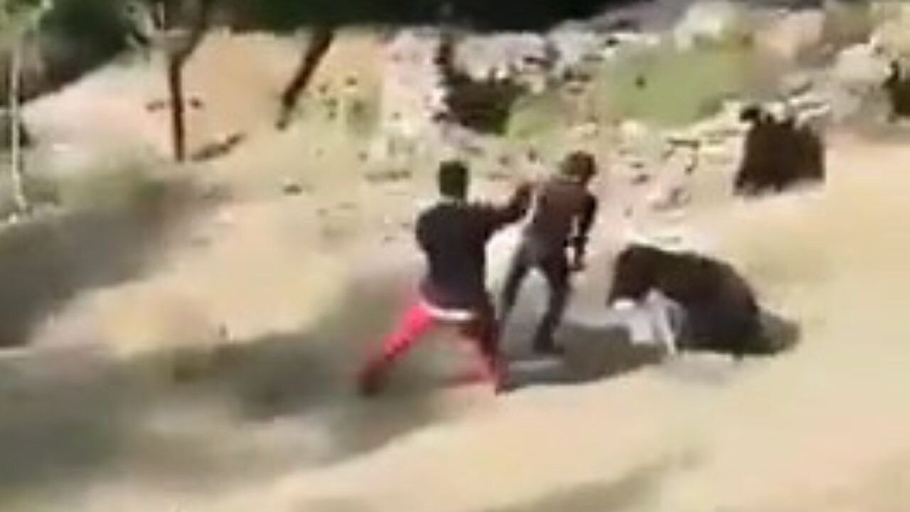 Man In Kashmire Gets His Head Chomped On By A Bear As His Friends Are Hitting It With Sticks