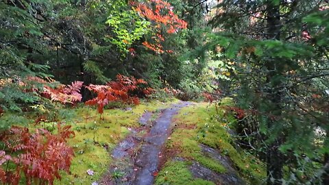 Adirondack Mountains - Autumn Day on the River Bend