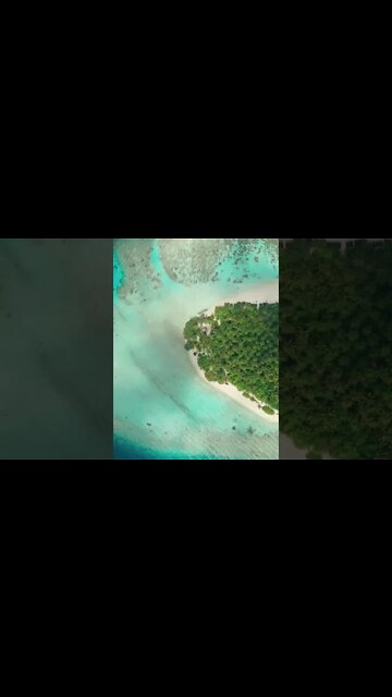 Feel that golden glow spread from your core to your heart. #meditation #sleep #shorts