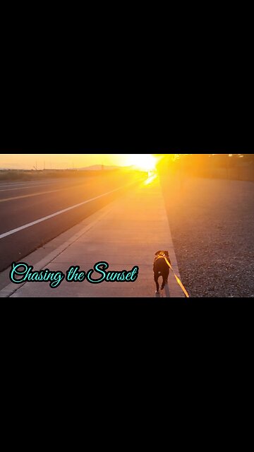 Chasing the Sunset with Pepper