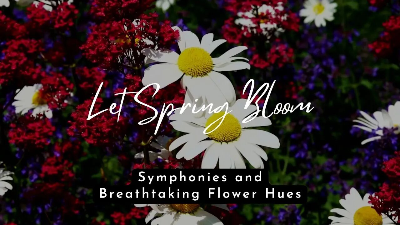 Find Peace in Nature: Spring Season Symphonies and Colorful Flowers #naturalbeauty #springflowers