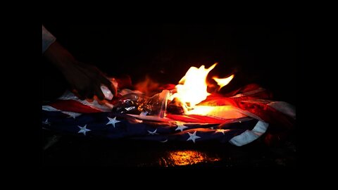 The Truth About the Trump Protests