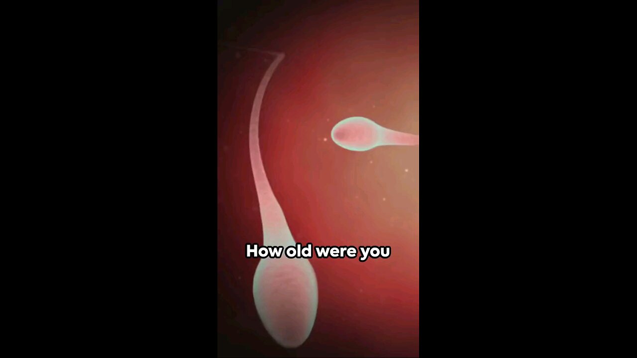 EGG SPERM FERTILIZERTION