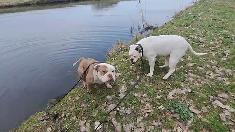 Rasterhoffpark sneek - 17 maart 2023