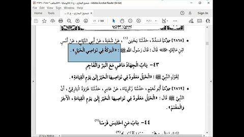 63 المجلس 63صحيح البخاري قراءة الشيخ محمد بشير كتاب الجهاد من باب 34 إلى أول باب 70 فضل من حمل متاع