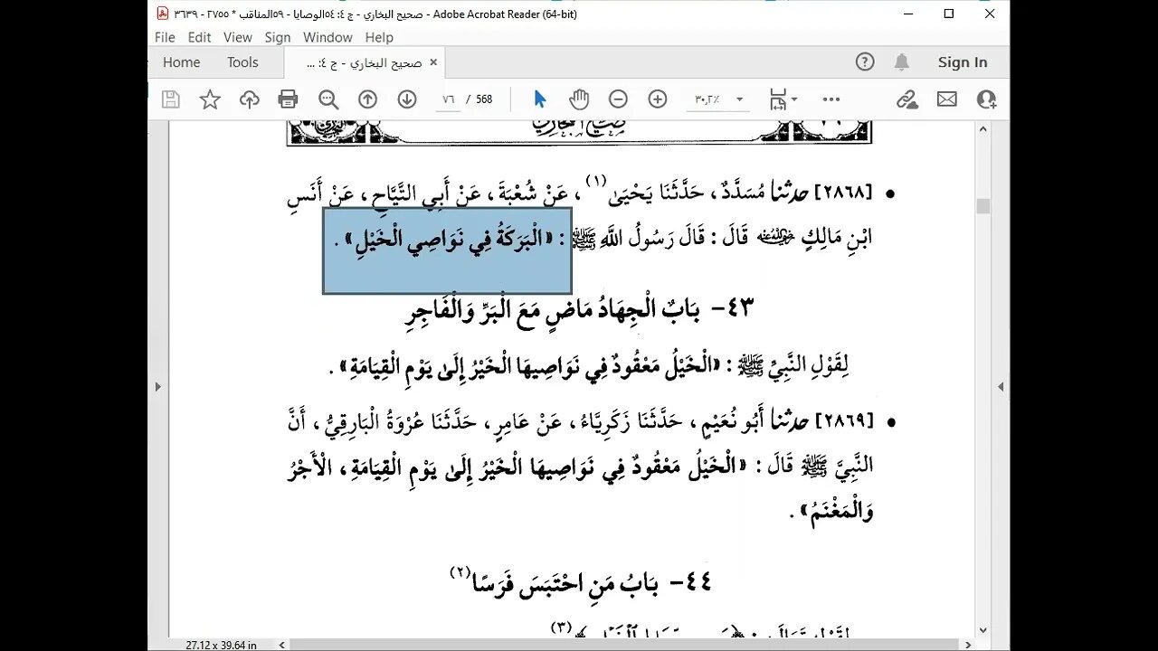 63 المجلس 63صحيح البخاري قراءة الشيخ محمد بشير كتاب الجهاد من باب 34 إلى أول باب 70 فضل من حمل متاع